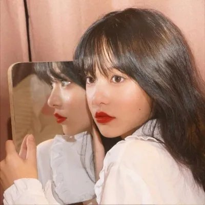 森林进化论